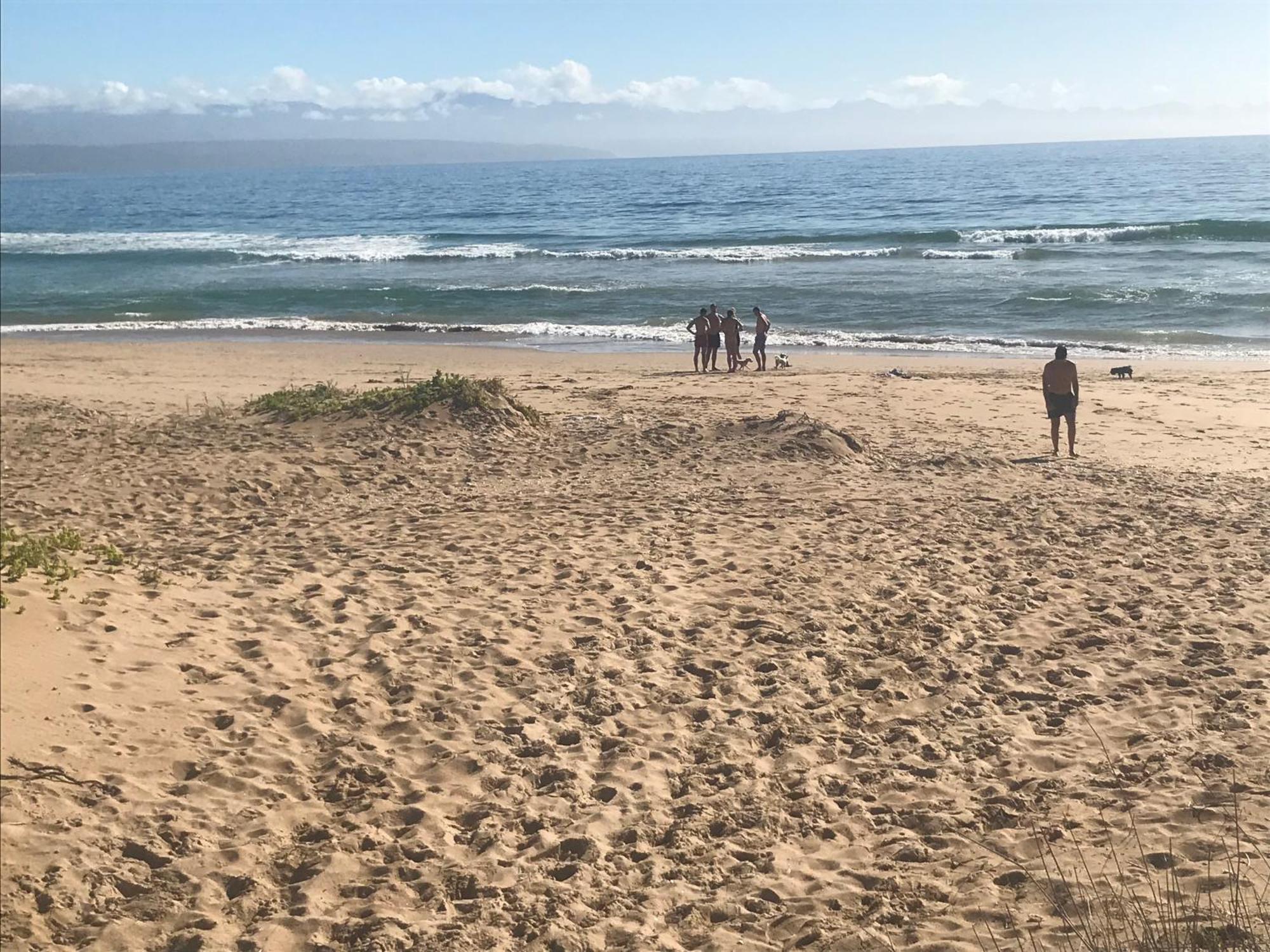 פלטנברג ביי Calm Waters Guesthouse מראה חיצוני תמונה